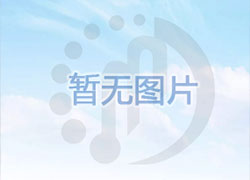 我公司“重型电液数控折弯机”被列入国家火炬计划项目